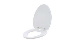Read more about the article Bemis Toilet Seats – World Renowned Quality