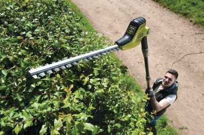 Hedge Trimmer in Action 2